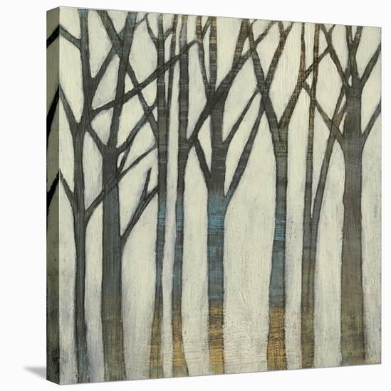 Birch Line I-Jennifer Goldberger-Stretched Canvas