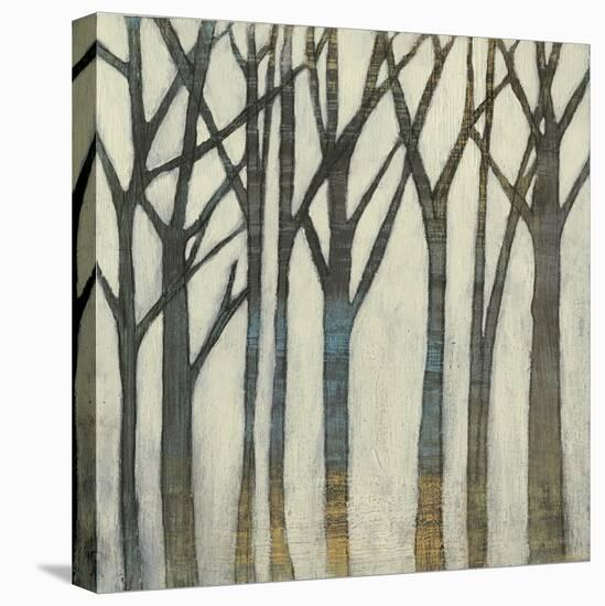 Birch Line I-Jennifer Goldberger-Stretched Canvas