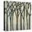 Birch Line II-Jennifer Goldberger-Stretched Canvas