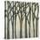 Birch Line II-Jennifer Goldberger-Stretched Canvas