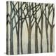 Birch Line II-Jennifer Goldberger-Stretched Canvas