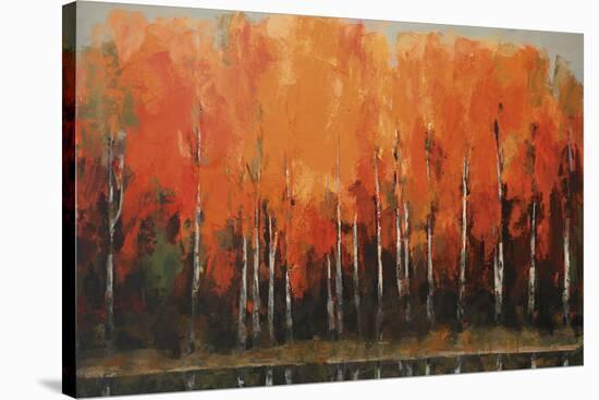 Birch Shoreline-Peter Colbert-Stretched Canvas