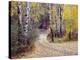 Birch Tree DriveFence & Road, Santa Fe, New Mexico 06-Monte Nagler-Premier Image Canvas