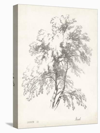 Birch Tree Study-null-Stretched Canvas