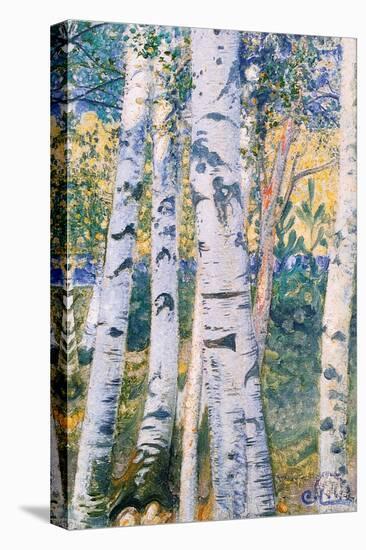 Birch Trees, 1910-Carl Larsson-Premier Image Canvas