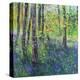 Birch Trees and Bluebells-Sylvia Paul-Premier Image Canvas