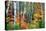 Birch Trees And Foliage, New Hampshire-George Oze-Premier Image Canvas