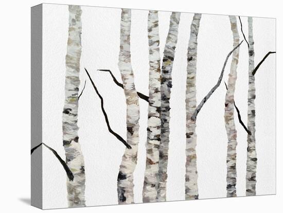 Birch Trees II-Sheila Finch-Stretched Canvas