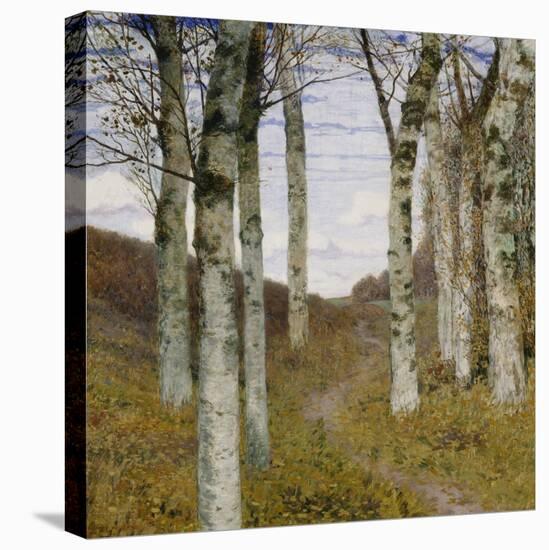 Birch Trees in Autumn, C.1898 (Oil on Wood)-Hans Am Ende-Premier Image Canvas