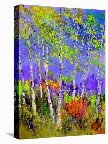 Birch Trees In Spring-Pol Ledent-Stretched Canvas