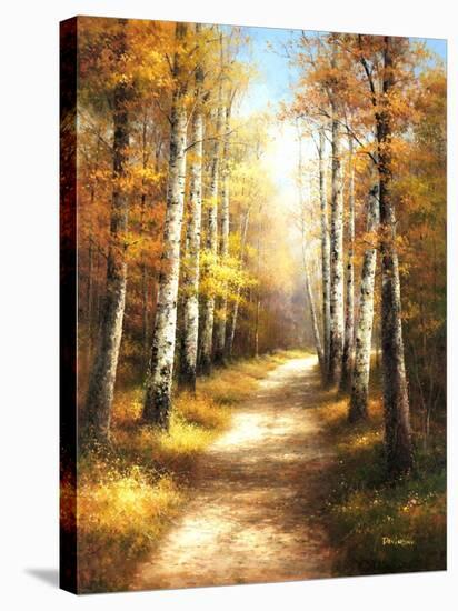 Birch Walk-Arcobaleno-Stretched Canvas