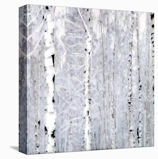 Birch Wonderland-Parker Greenfield-Stretched Canvas