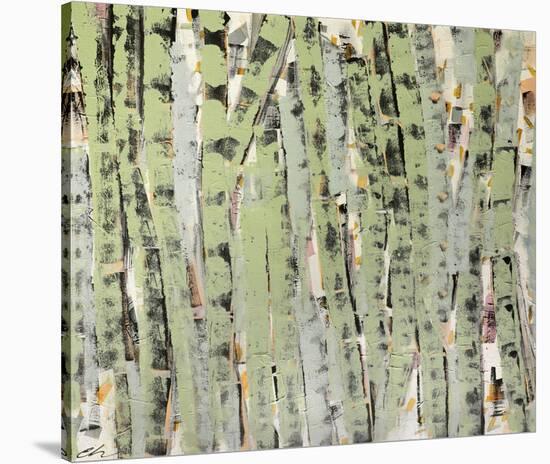 Birch-Cathe Hendrick-Stretched Canvas