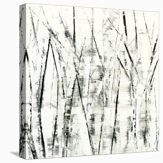 Birches II-Sharon Gordon-Stretched Canvas