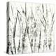 Birches II-Sharon Gordon-Stretched Canvas