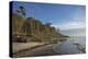 Birches on the Western Beach of Darss Peninsula-Uwe Steffens-Premier Image Canvas