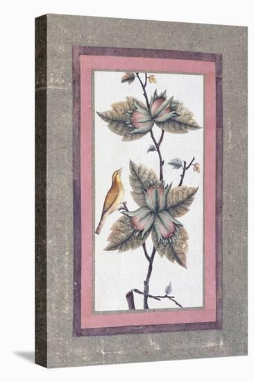 Bird and Flower Study, C.1780-null-Premier Image Canvas