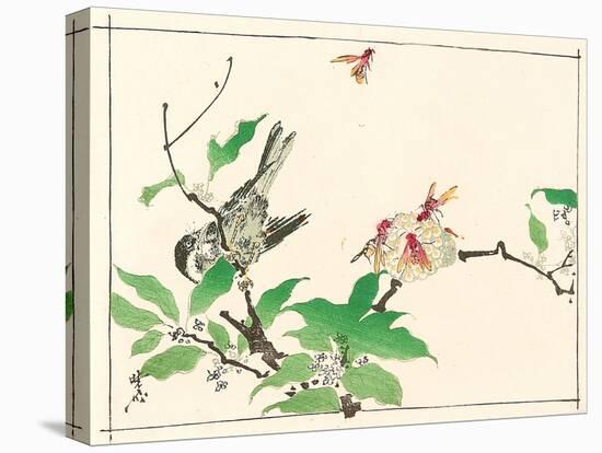 Bird and Hornets-Kyosai Kawanabe-Premier Image Canvas