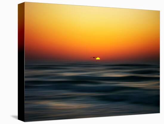 Bird at Sunset-Josh Adamski-Premier Image Canvas