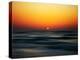 Bird at Sunset-Josh Adamski-Premier Image Canvas