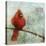 Bird Buddy II-Kay Daichi-Stretched Canvas