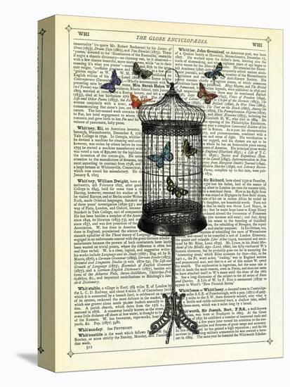 Bird Cage & Butterflies-Marion Mcconaghie-Stretched Canvas