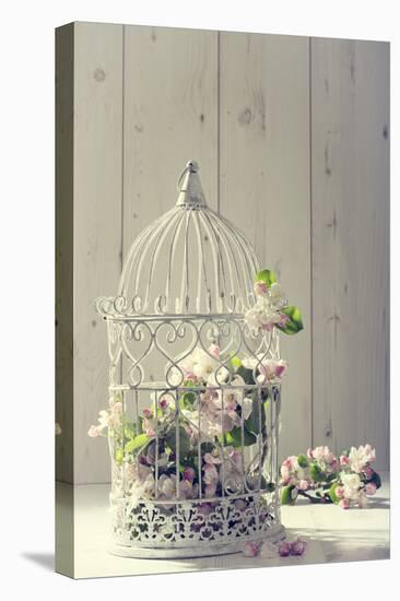 Bird Cage Filled with Apple Tree Blossom with Vintage Effect-Amd Images-Premier Image Canvas