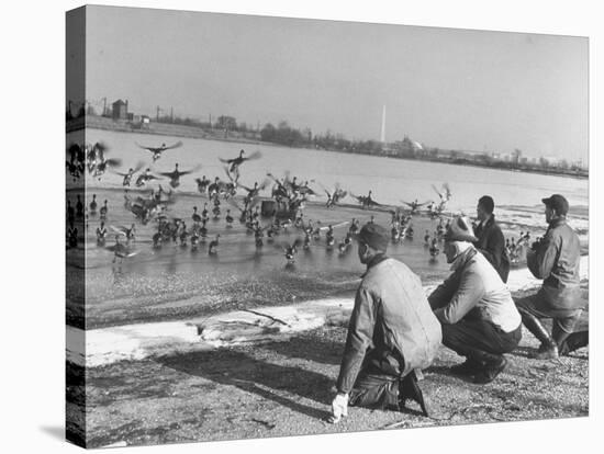 Bird Counters of the Audubon Society Observing Flock of Pintail and Mallard Ducks-Francis Miller-Premier Image Canvas