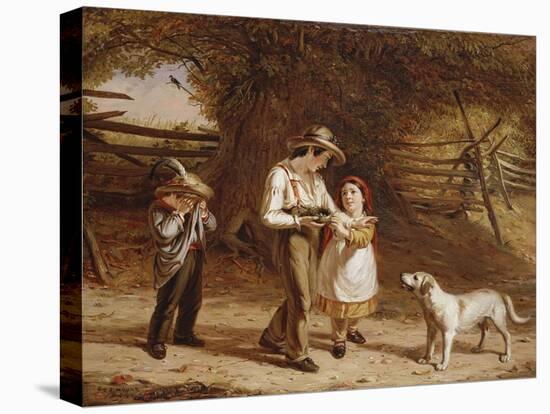 Bird-Egging, 1844-David Gilmour Blythe-Premier Image Canvas