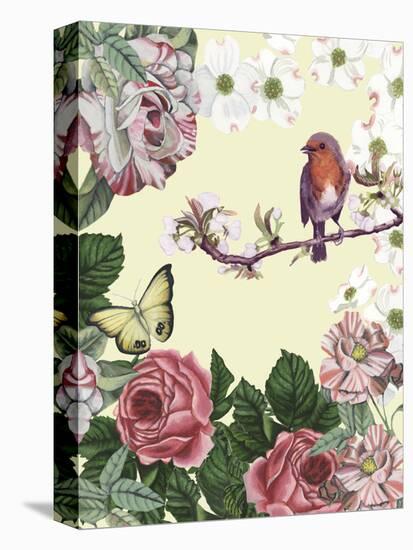 Bird Garden II-Naomi McCavitt-Stretched Canvas