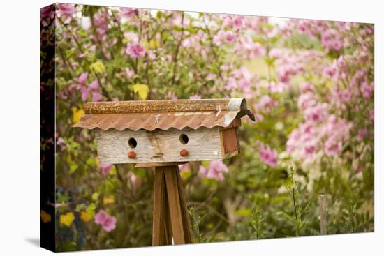 Bird House I-Philip Clayton-thompson-Premier Image Canvas