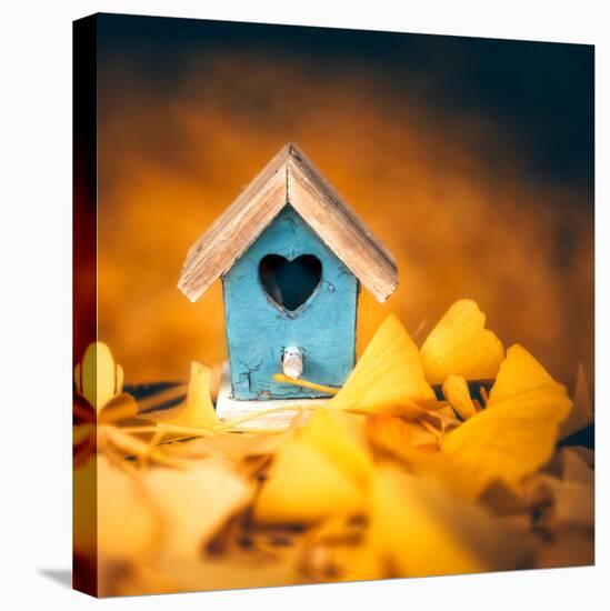 Bird House in Autumn-Philippe Sainte-Laudy-Premier Image Canvas