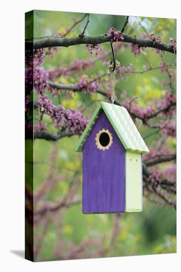 Bird House Nest Box in Eastern Redbud Tree in Spring, Marion, Il-Richard and Susan Day-Premier Image Canvas