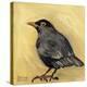 Bird I-Suzanne Etienne-Stretched Canvas