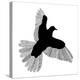 Bird Line Art-Florent Bodart-Premier Image Canvas