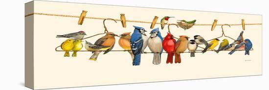 Bird Menagerie II-Wendy Russell-Stretched Canvas