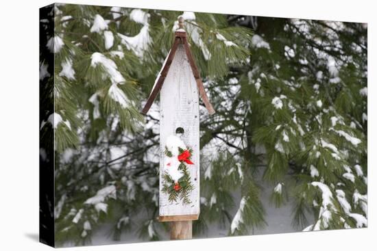 Bird, Nest Box with Holiday Swag in Winter, Marion, Illinois, Usa-Richard ans Susan Day-Premier Image Canvas