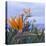 Bird of Paradise I-Rita Crane-Premier Image Canvas