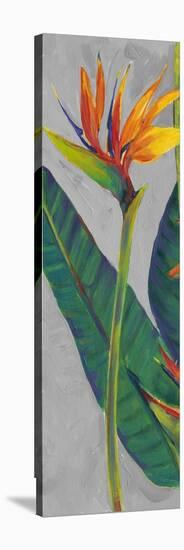 Bird of Paradise Triptych I-Tim OToole-Stretched Canvas
