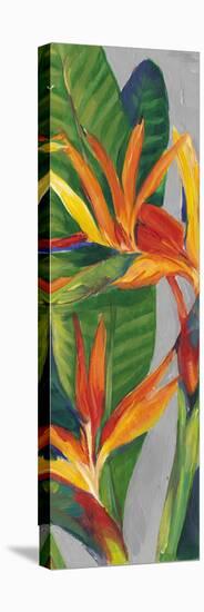 Bird of Paradise Triptych II-Tim OToole-Stretched Canvas