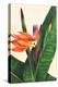 Bird of Paradise-Mary Russel-Premier Image Canvas