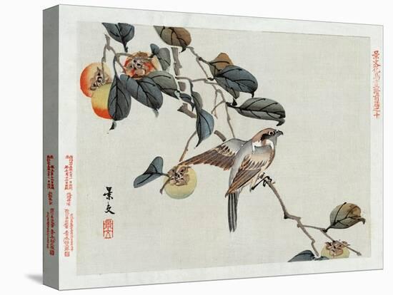 Bird Perched on a Branch from a Fruit Tree, Japanese Wood-Cut Print-Lantern Press-Stretched Canvas