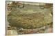 Bird’s Eye View of Phoenix, Arizona, 1885-C^J^ Dyer-Stretched Canvas