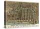 Bird’s Eye View of the Business District of Chicago, 1898-Poole Bros^-Stretched Canvas