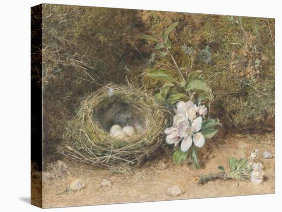 Bird's Nest with Sprays of Apple Blossoms-William Henry Hunt-Premier Image Canvas