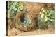 Bird's Nest with Three Blue Eggs and Primroses-William Henry Hunt-Premier Image Canvas