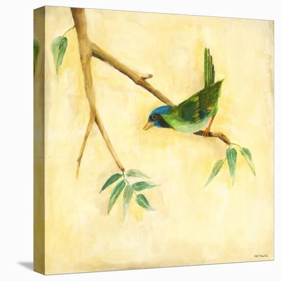 Bird Song III-Jill Martin-Stretched Canvas