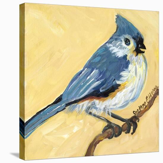 Bird Square II-Suzanne Etienne-Stretched Canvas