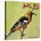 Bird X-Suzanne Etienne-Stretched Canvas