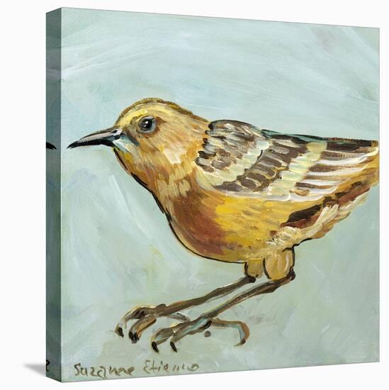 Bird XI-Suzanne Etienne-Stretched Canvas